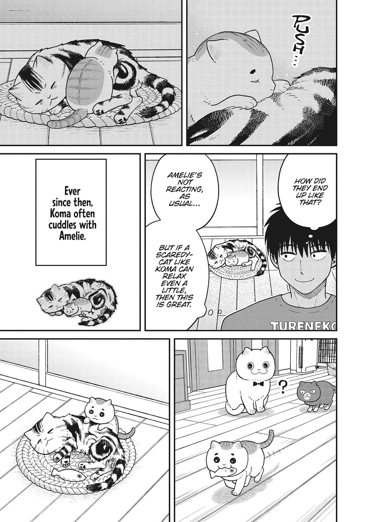 Cat Companions Maruru and Hachi Chapter 40 page 11 - 