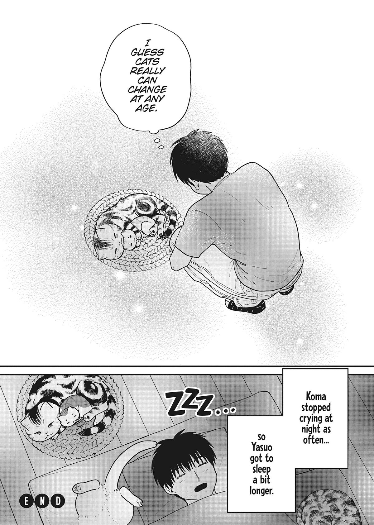 Cat Companions Maruru and Hachi Chapter 40 page 17 - 