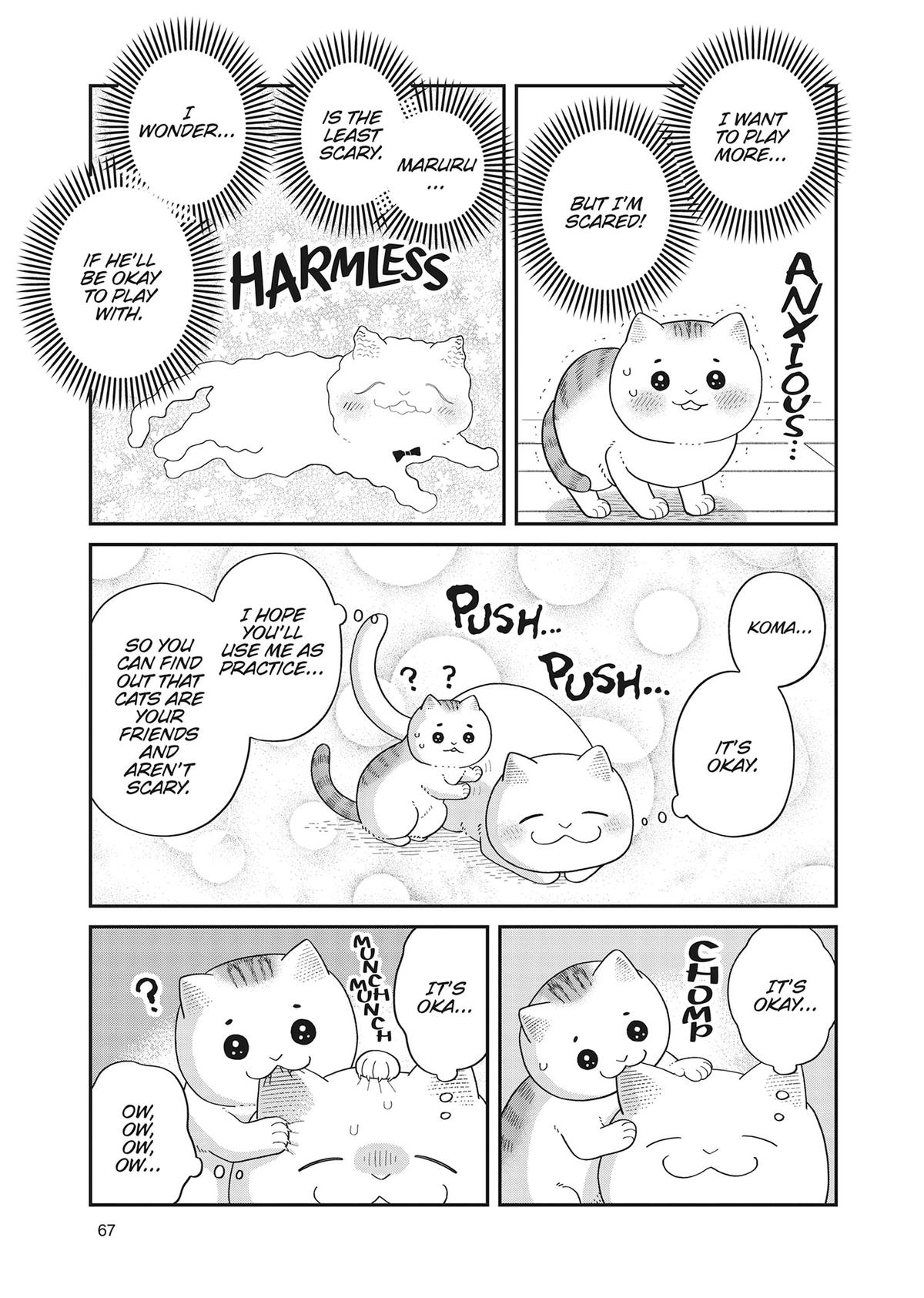 Cat Companions Maruru and Hachi Chapter 40 page 3 - 