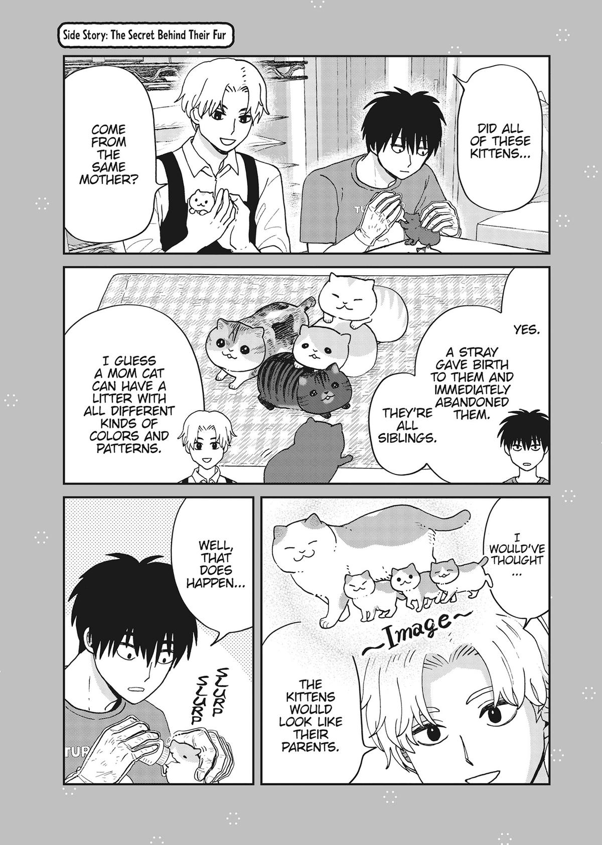 Cat Companions Maruru and Hachi Chapter 40 page 21 - 