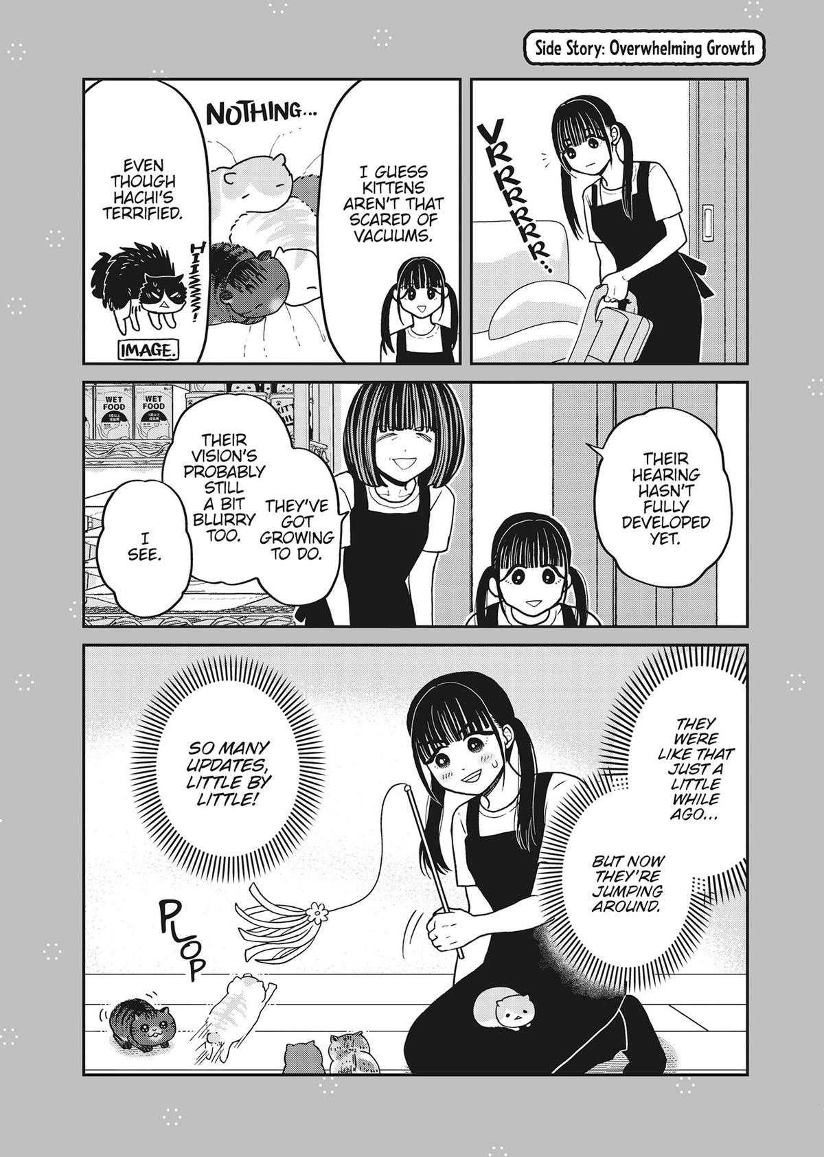Cat Companions Maruru and Hachi Chapter 40 page 28 - 