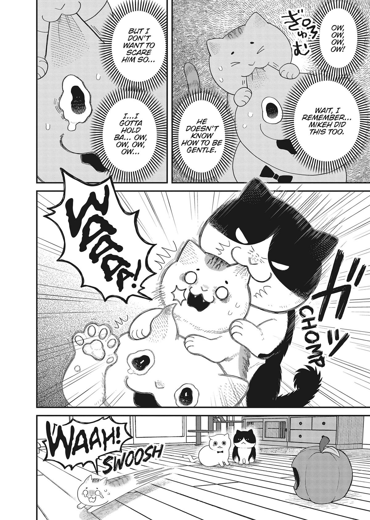 Cat Companions Maruru and Hachi Chapter 40 page 4 - 