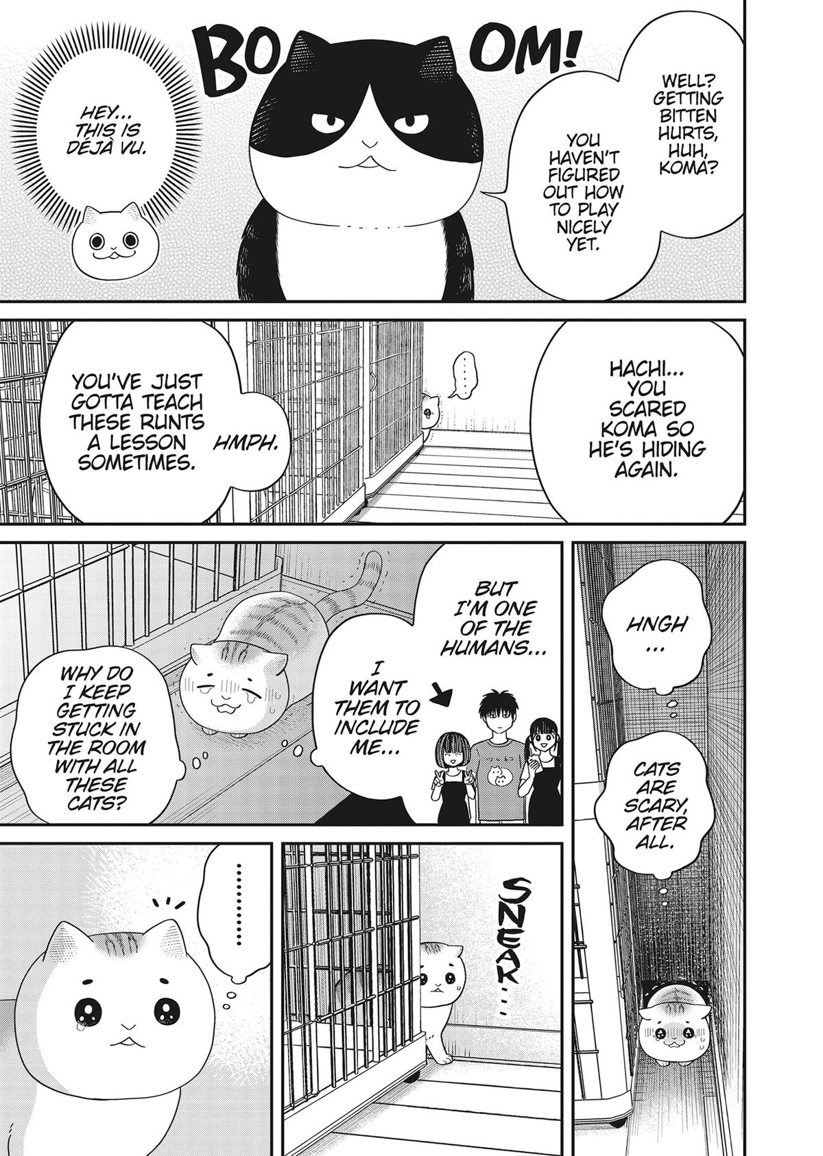 Cat Companions Maruru and Hachi Chapter 40 page 5 - 