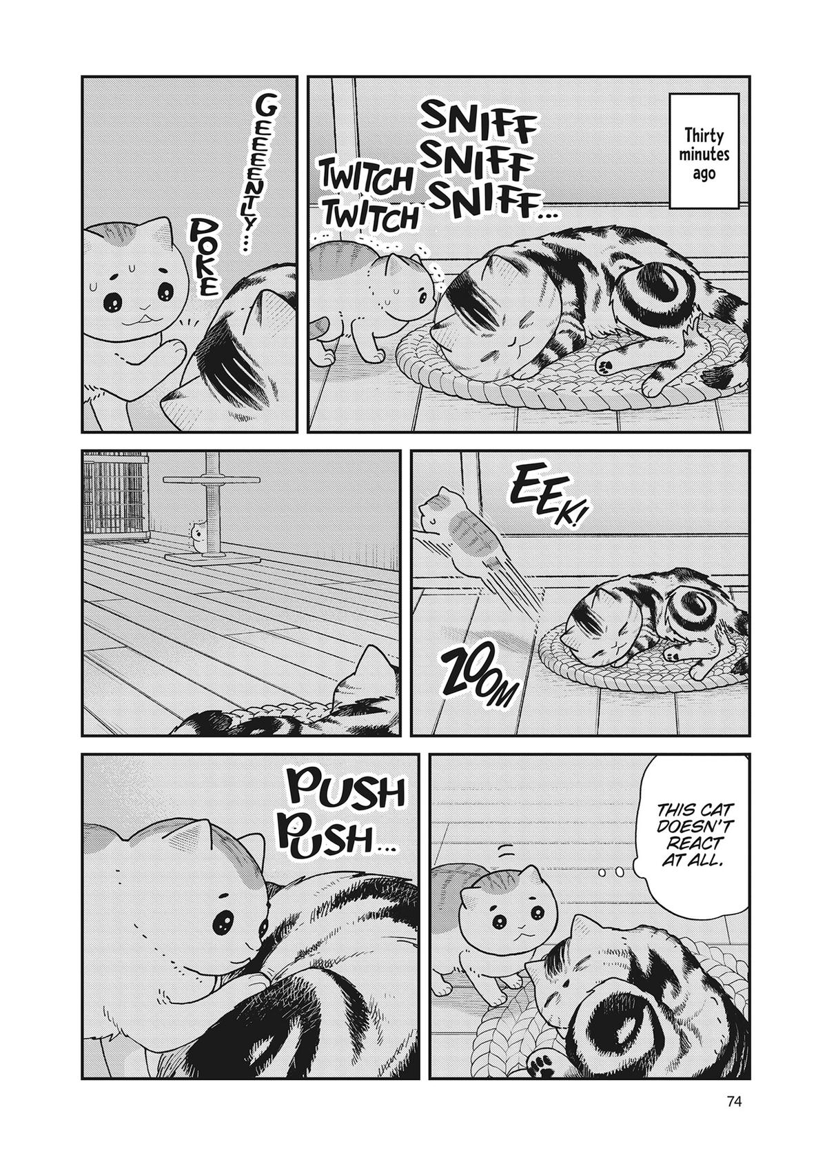 Cat Companions Maruru and Hachi Chapter 40 page 10 - 