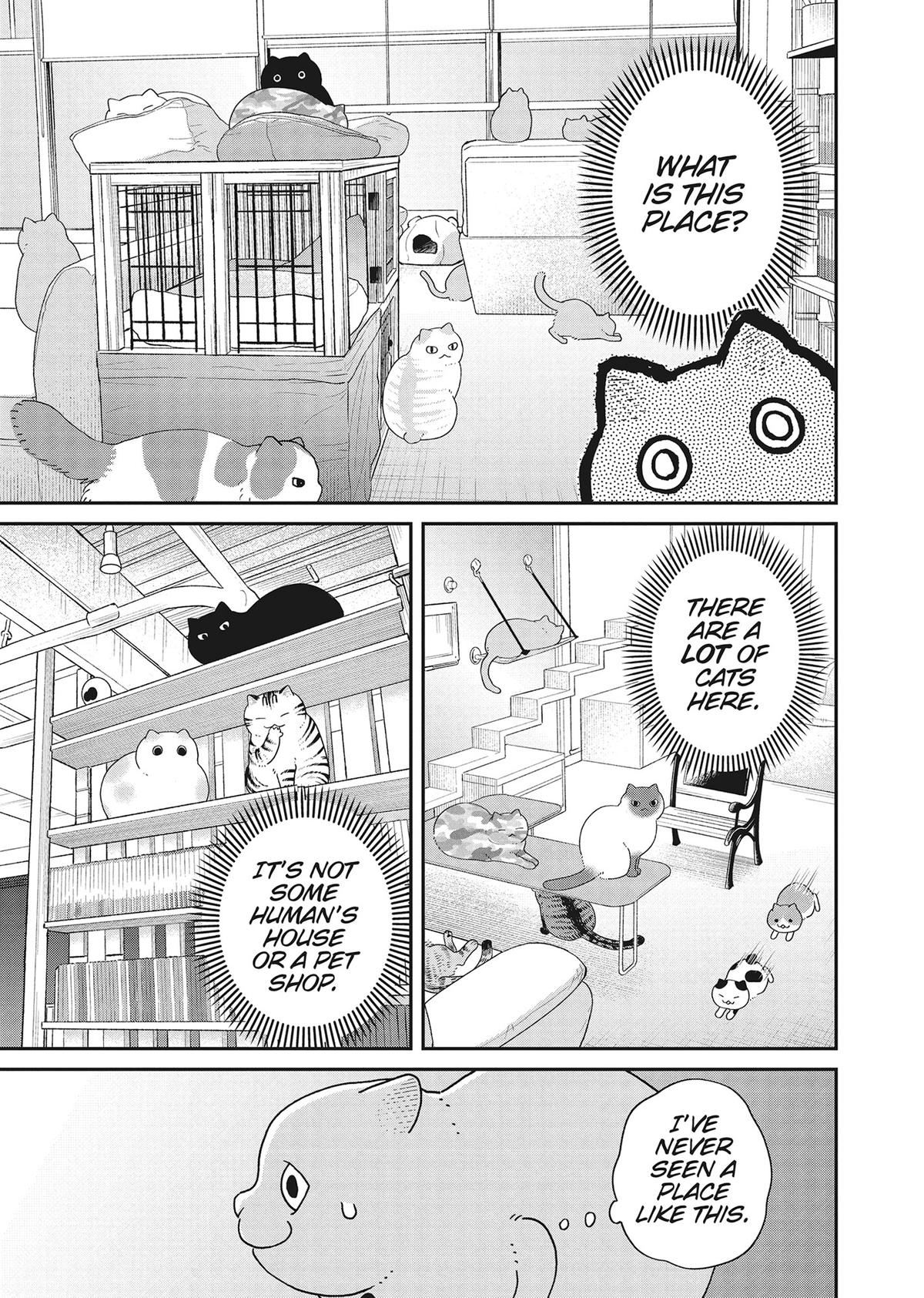 Cat Companions Maruru and Hachi Chapter 41 page 14 - 