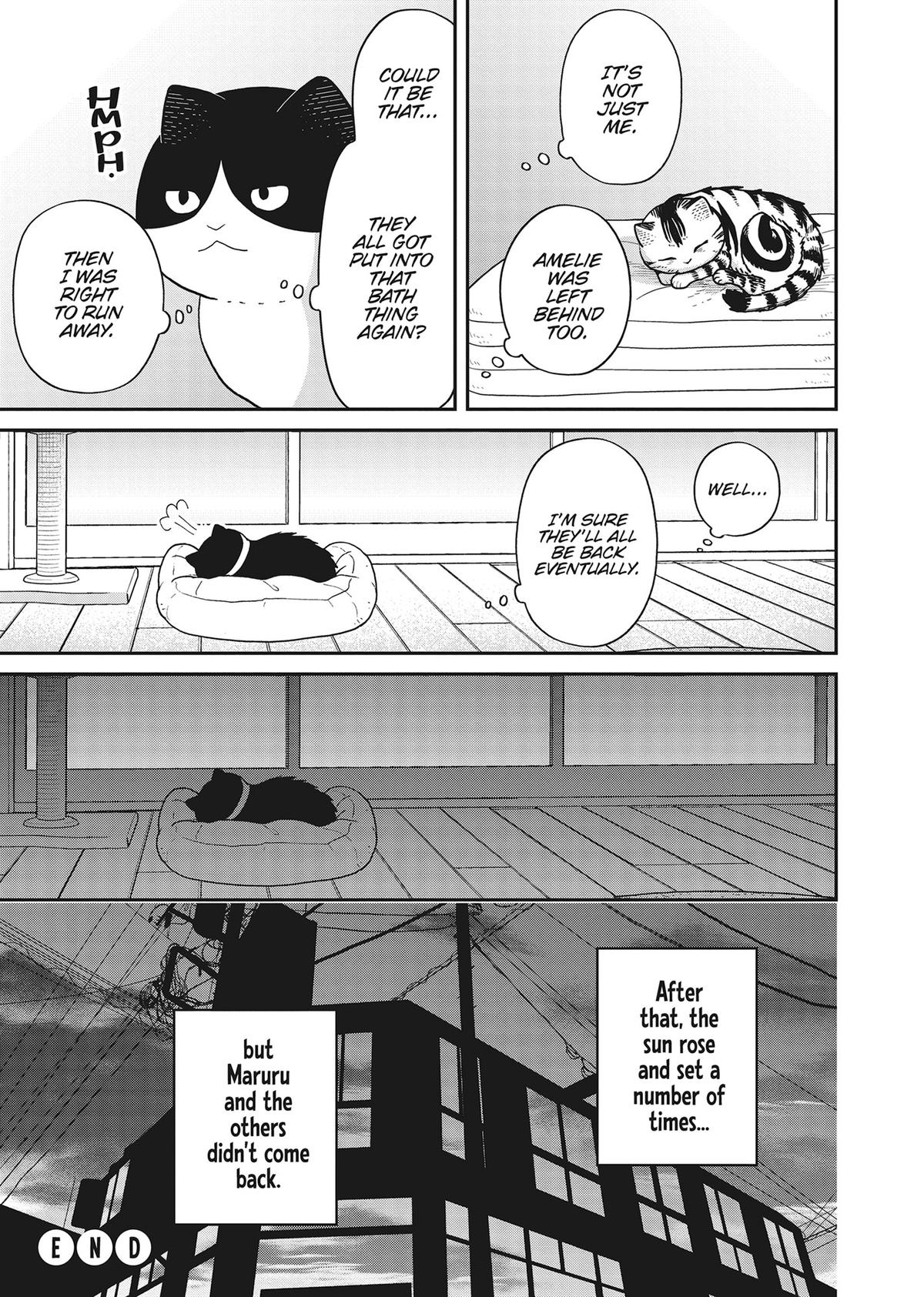 Cat Companions Maruru and Hachi Chapter 41 page 16 - 