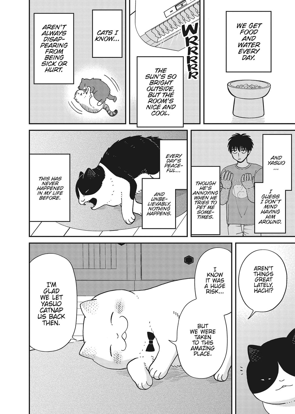 Cat Companions Maruru and Hachi Chapter 41 page 6 - 