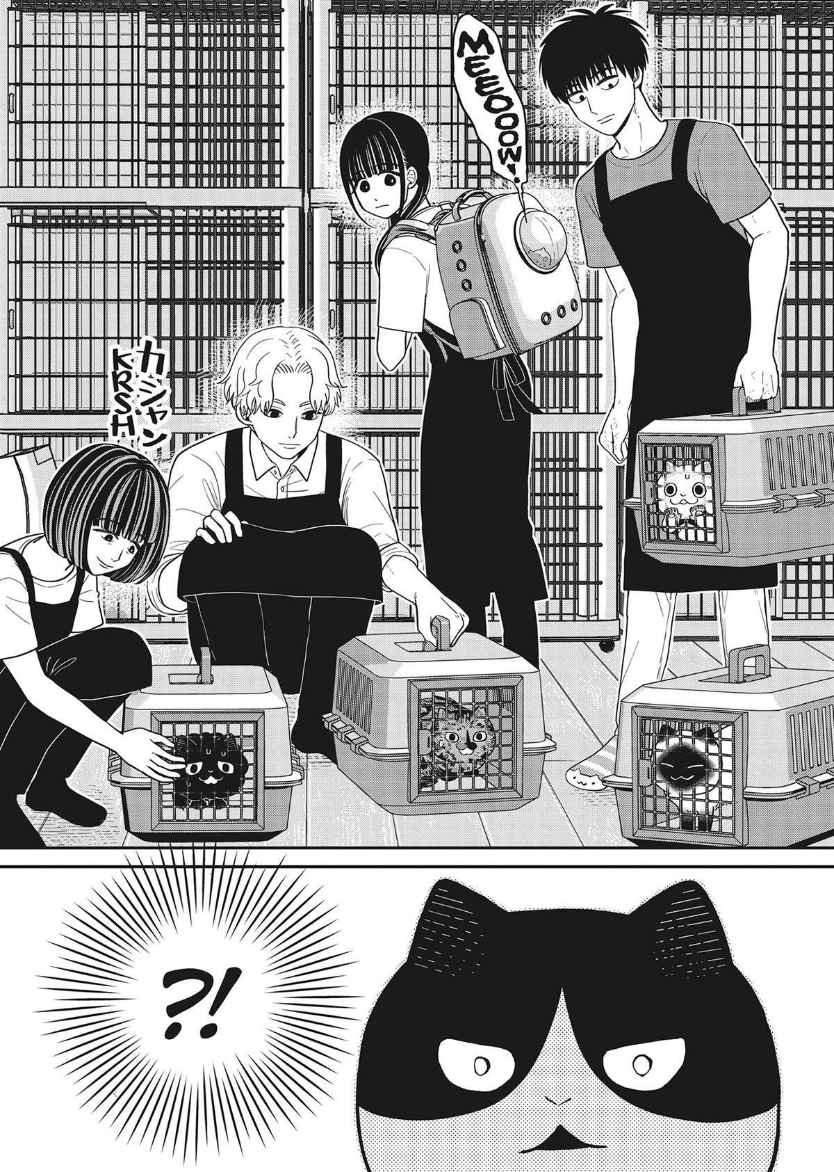 Cat Companions Maruru and Hachi Chapter 41 page 8 - 