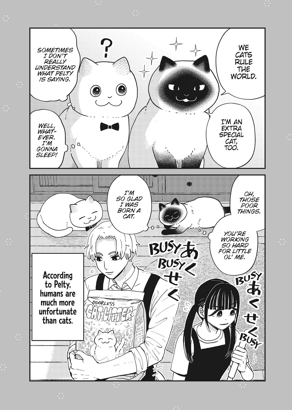 Cat Companions Maruru and Hachi Chapter 42 page 28 - 