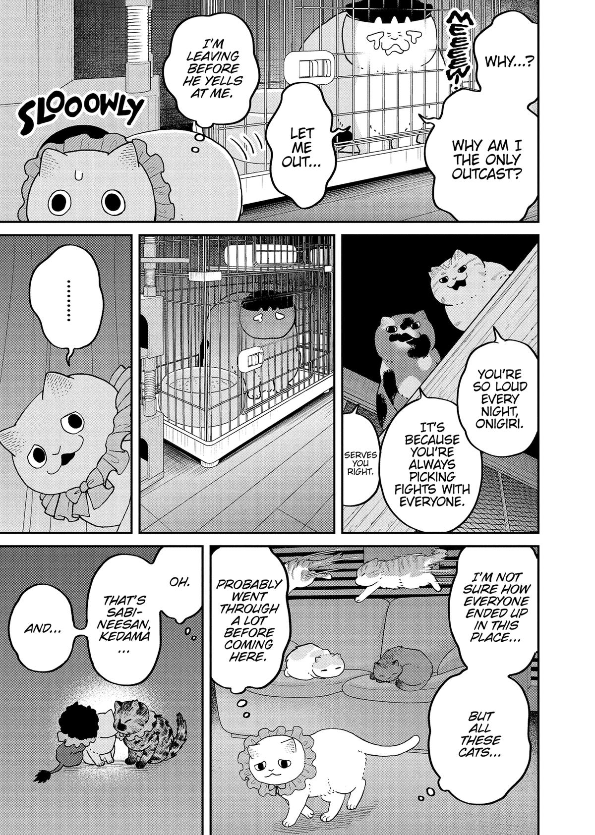 Cat Companions Maruru and Hachi Chapter 43 page 12 - 