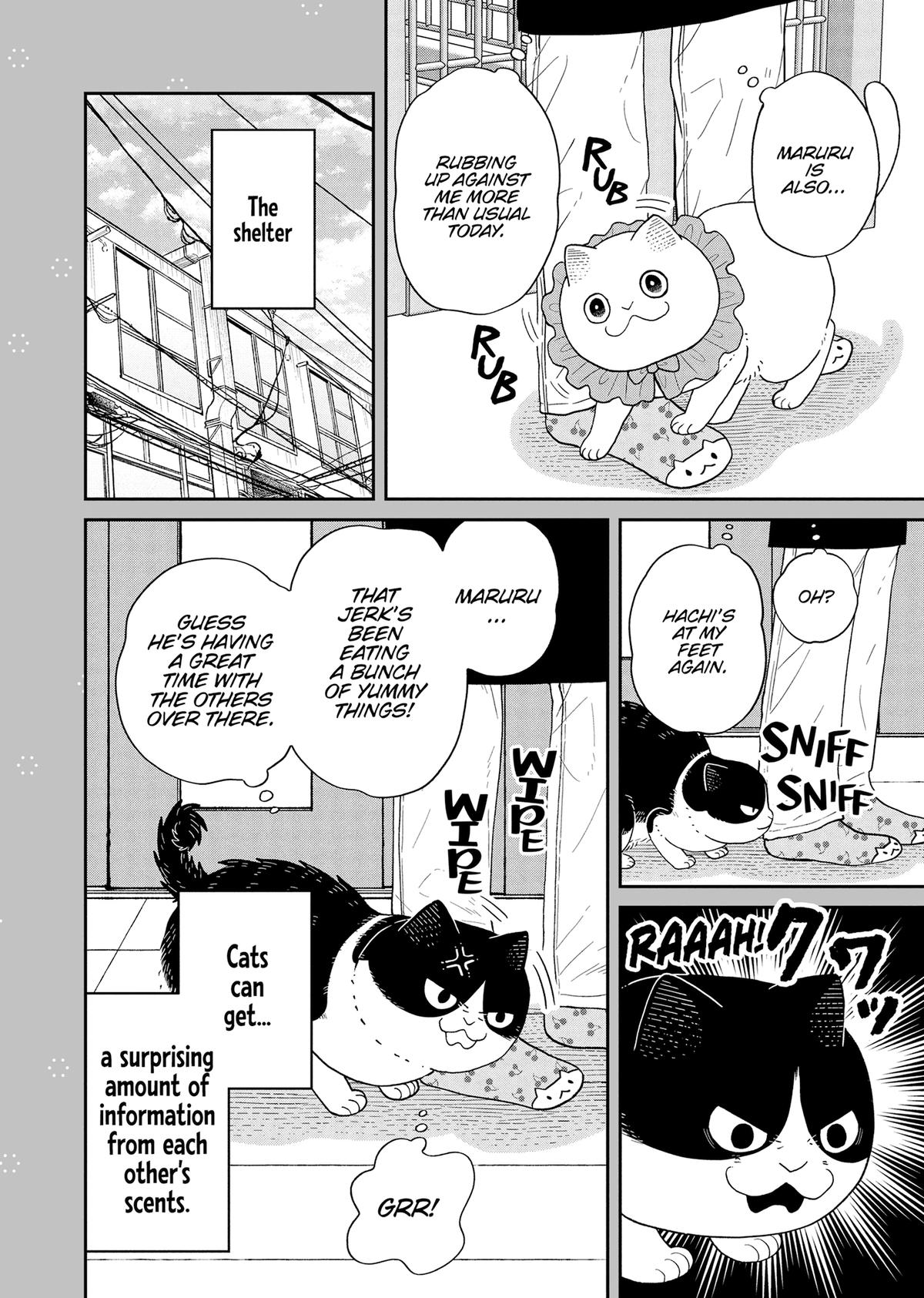Cat Companions Maruru and Hachi Chapter 43 page 21 - 