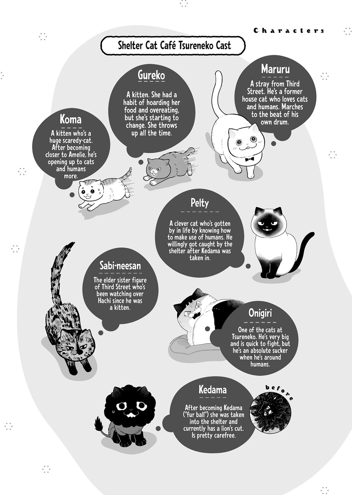Cat Companions Maruru and Hachi Chapter 43 page 5 - 