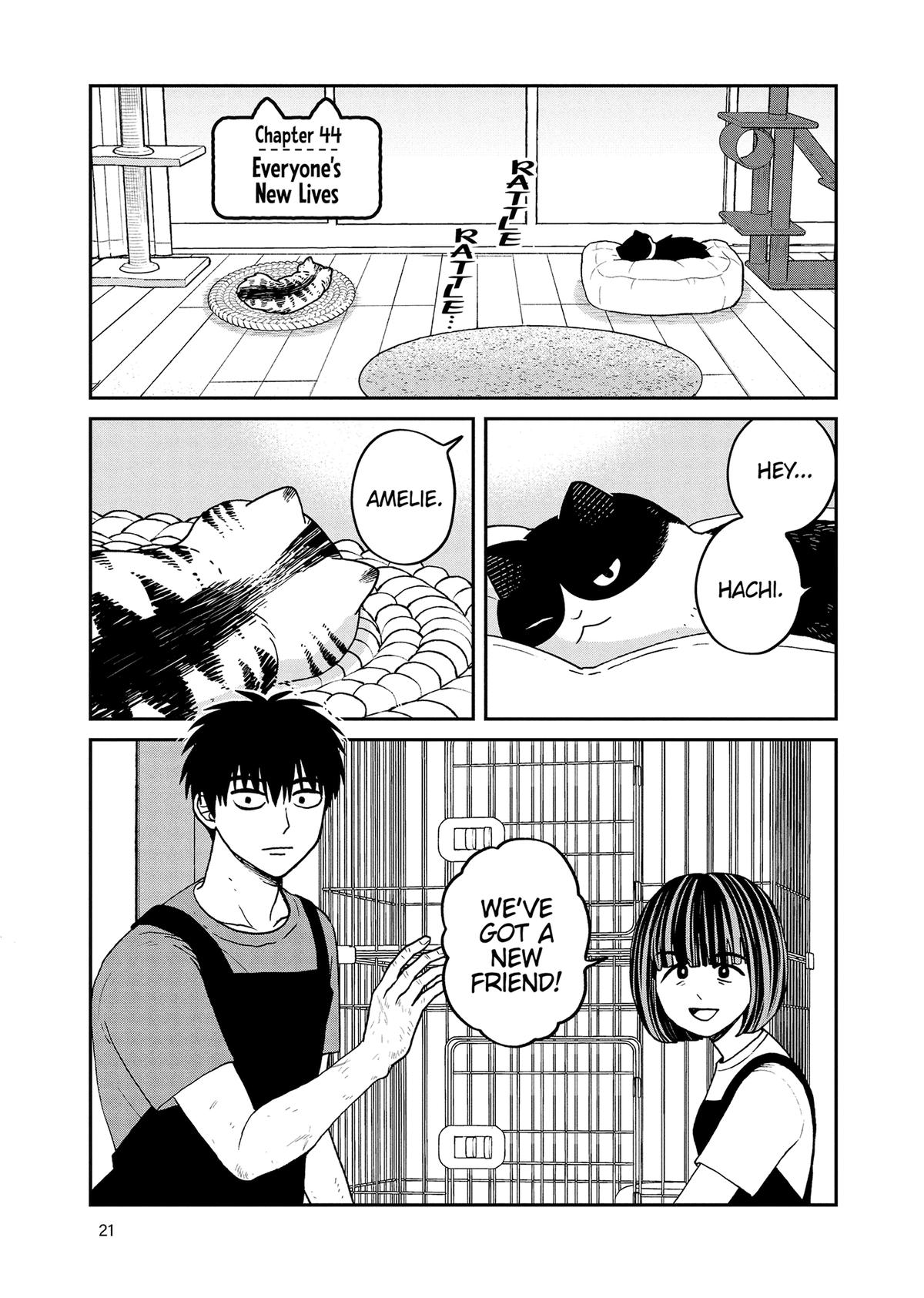 Cat Companions Maruru and Hachi Chapter 44 page 1 - 