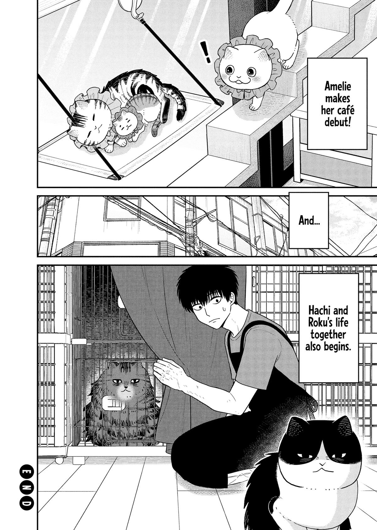 Cat Companions Maruru and Hachi Chapter 44 page 12 - 