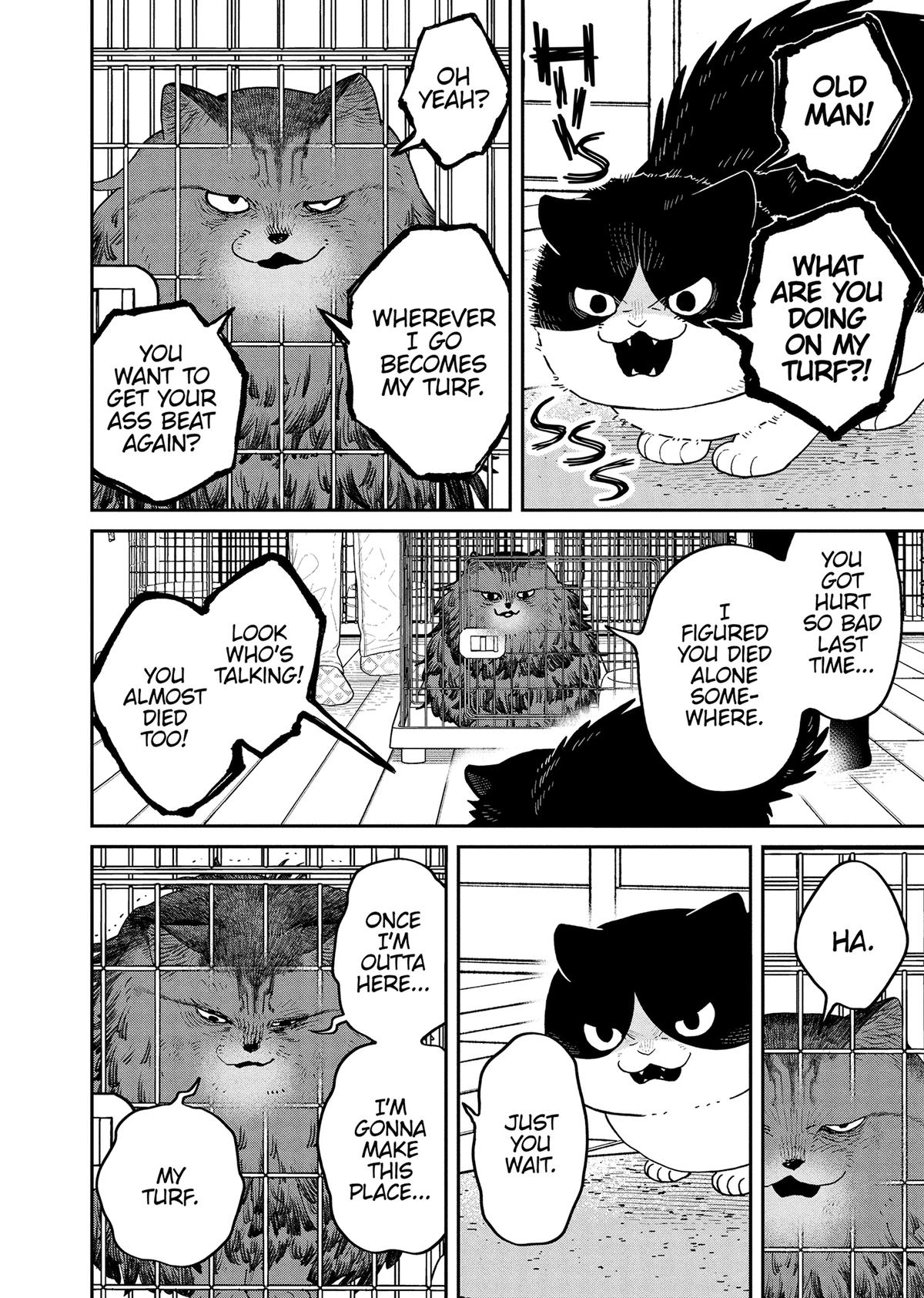Cat Companions Maruru and Hachi Chapter 44 page 4 - 