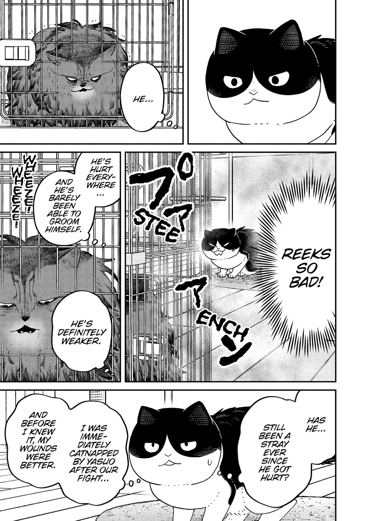 Cat Companions Maruru and Hachi Chapter 44 page 5 - 