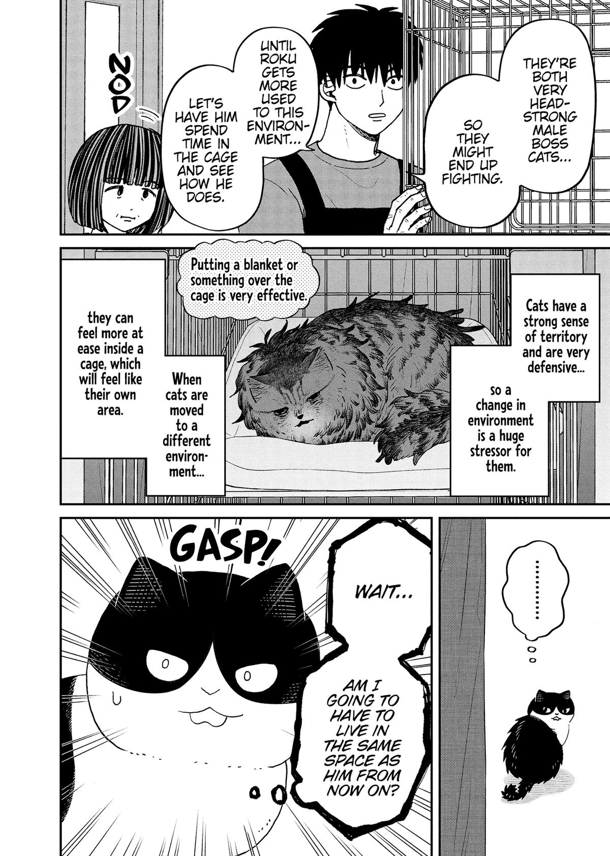 Cat Companions Maruru and Hachi Chapter 44 page 6 - 
