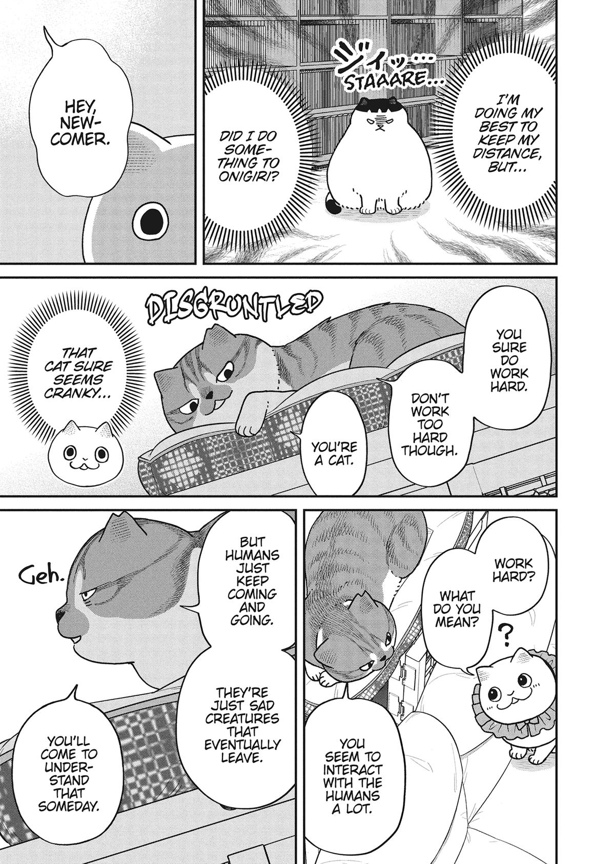 Cat Companions Maruru and Hachi Chapter 45 page 3 - 