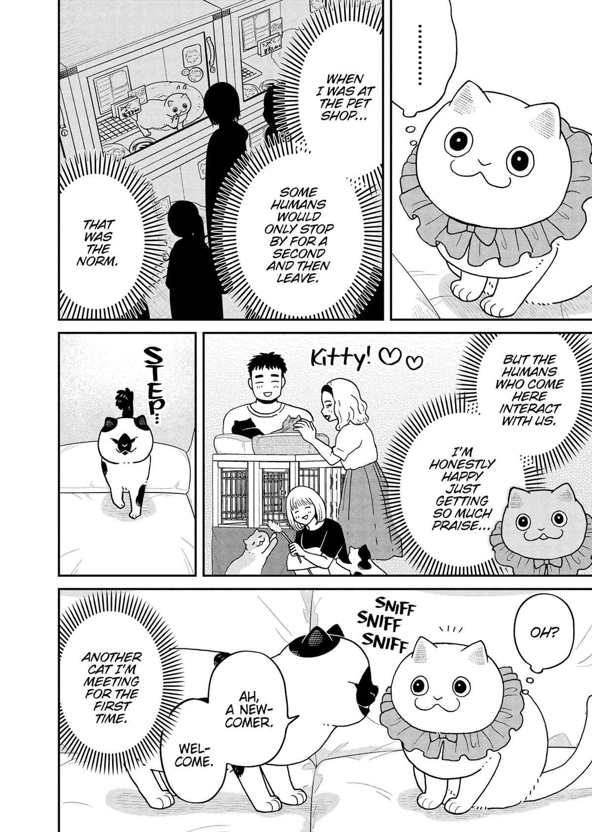 Cat Companions Maruru and Hachi Chapter 45 page 4 - 