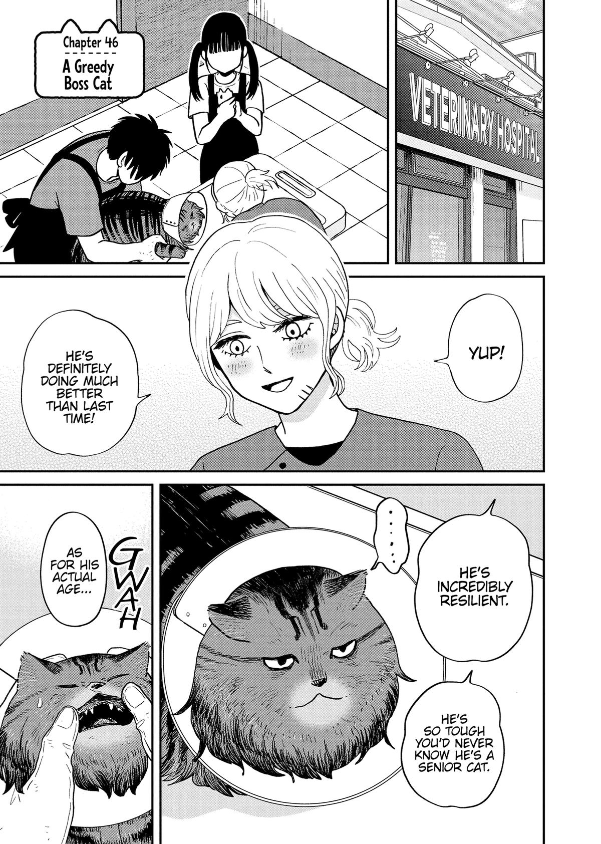 Cat Companions Maruru and Hachi Chapter 46 page 1 - 