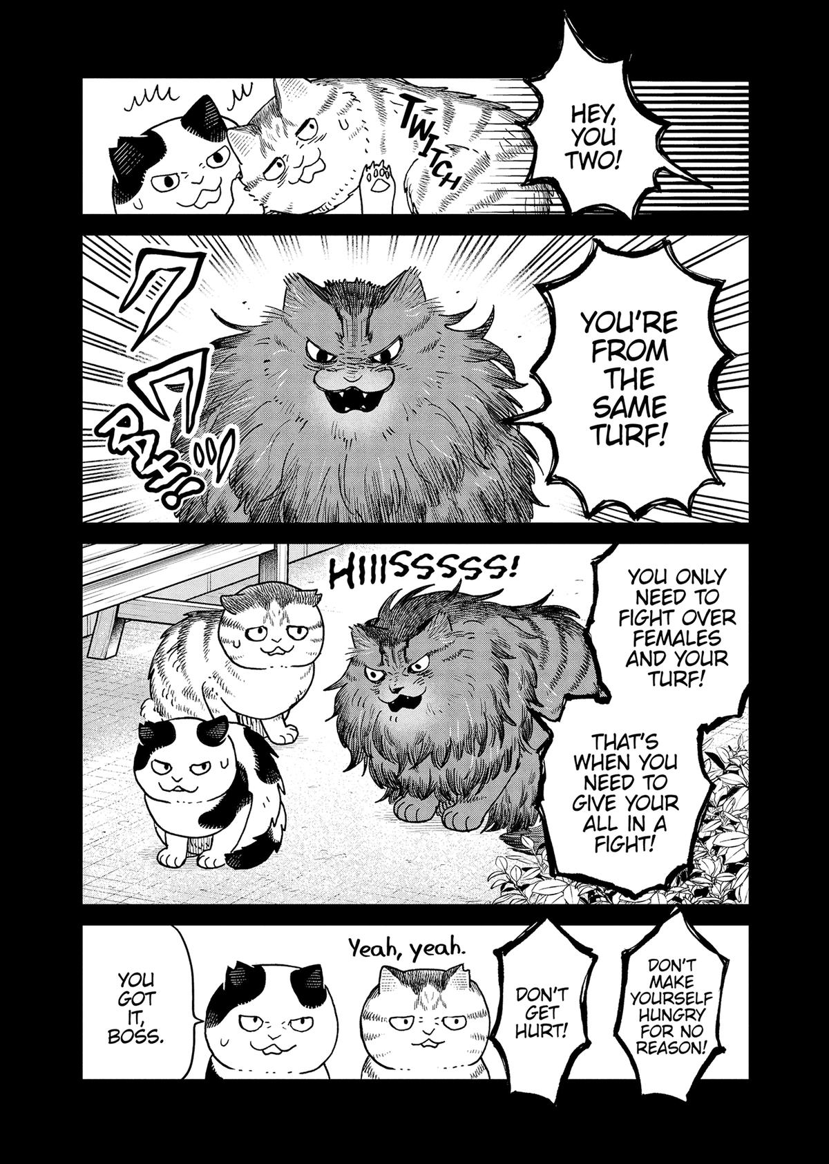 Cat Companions Maruru and Hachi Chapter 46 page 15 - 
