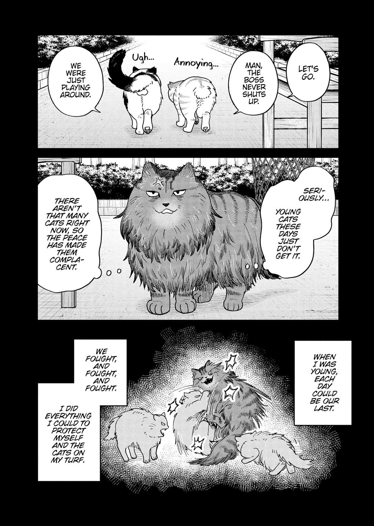 Cat Companions Maruru and Hachi Chapter 46 page 16 - 