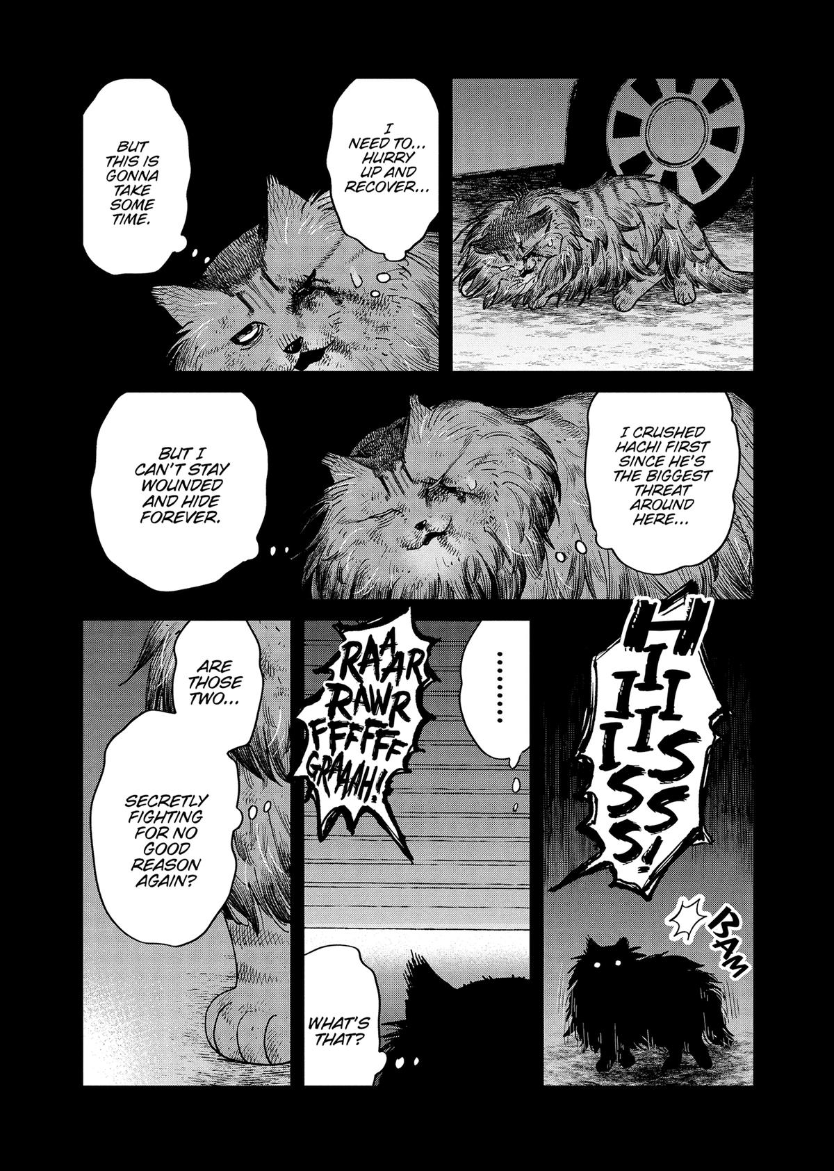 Cat Companions Maruru and Hachi Chapter 46 page 19 - 