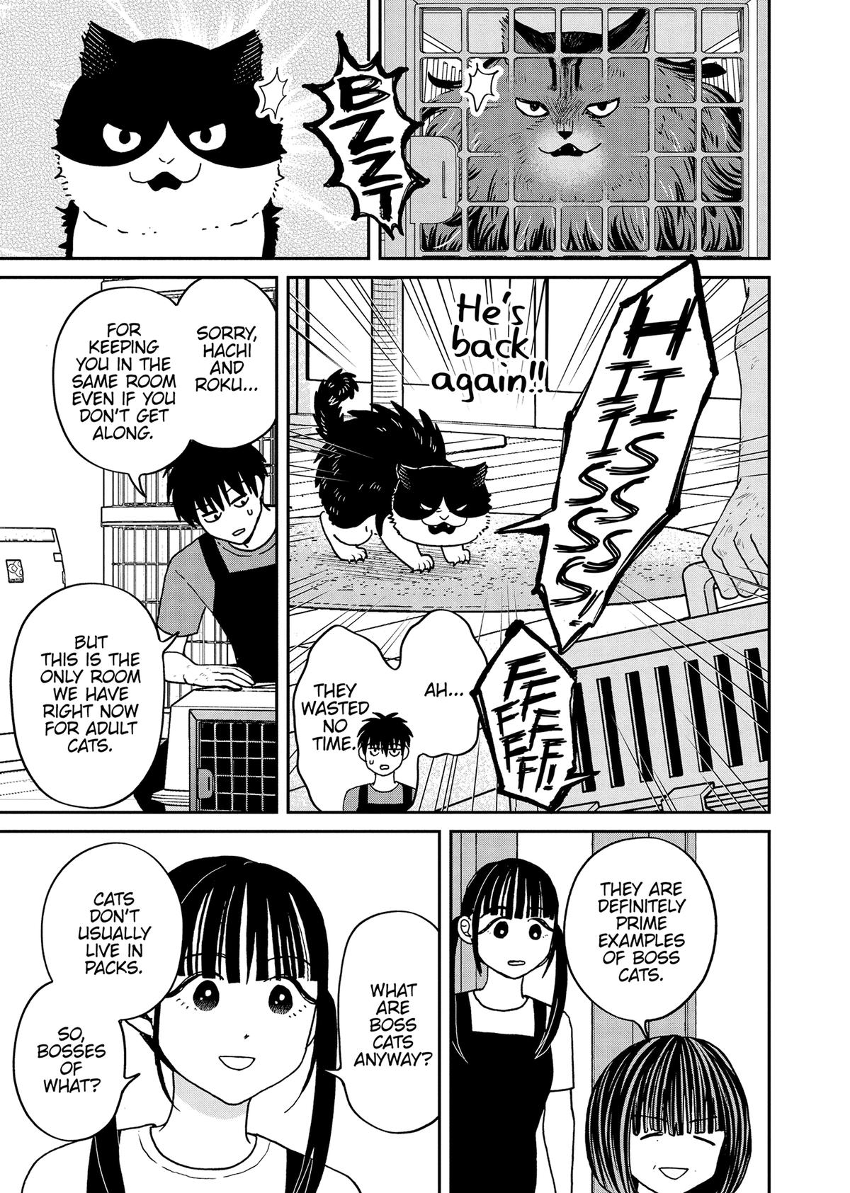 Cat Companions Maruru and Hachi Chapter 46 page 3 - 