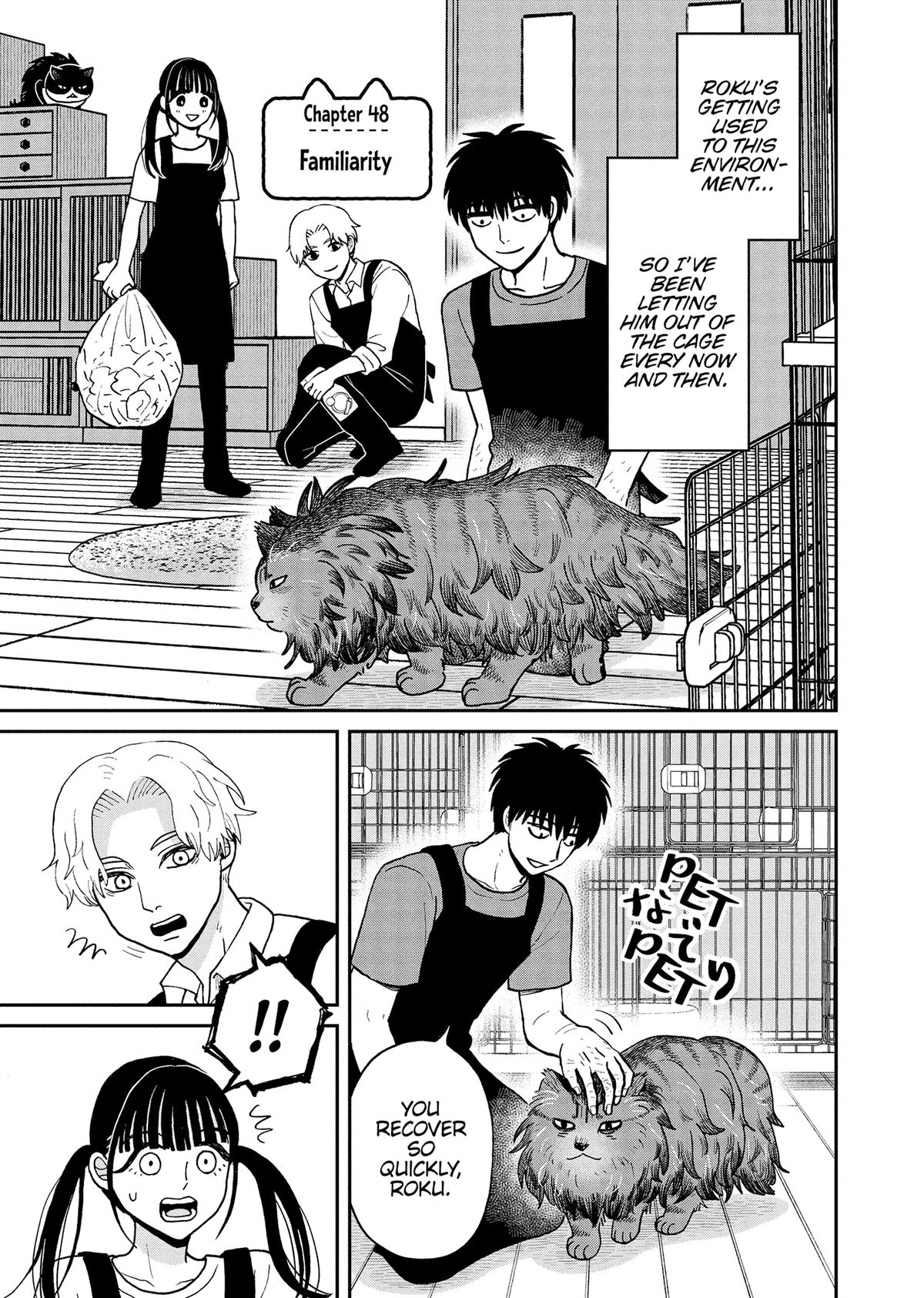 Cat Companions Maruru and Hachi Chapter 48 page 1 - 