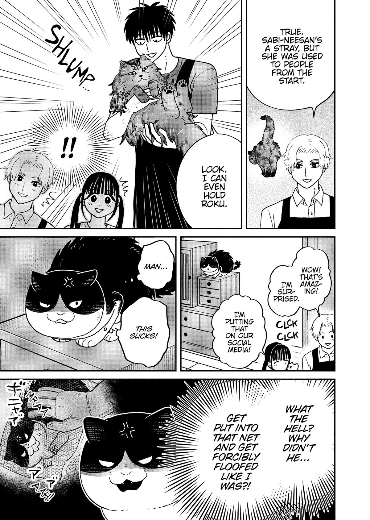 Cat Companions Maruru and Hachi Chapter 48 page 3 - 