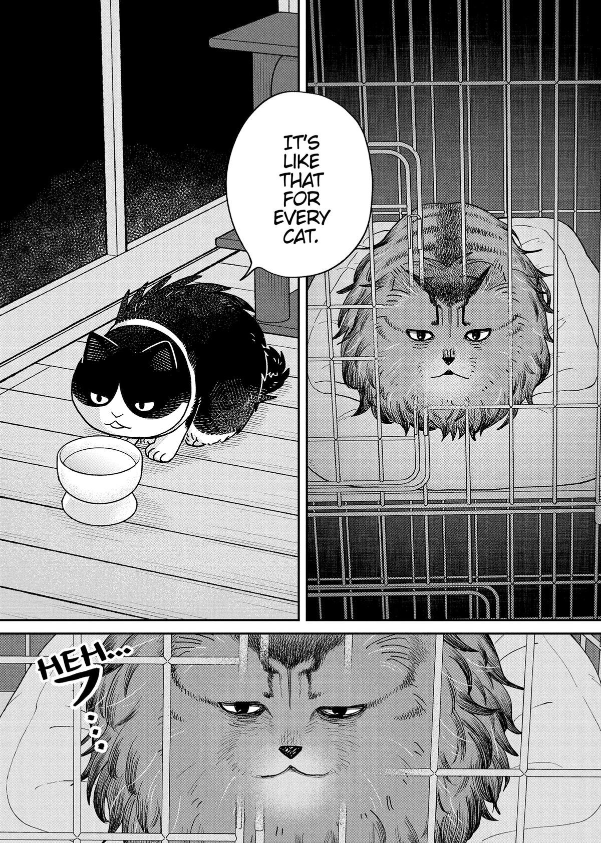 Cat Companions Maruru and Hachi Chapter 48 page 8 - 