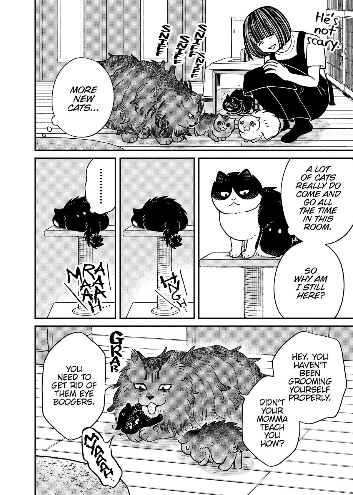 Cat Companions Maruru and Hachi Chapter 49 page 2 - 
