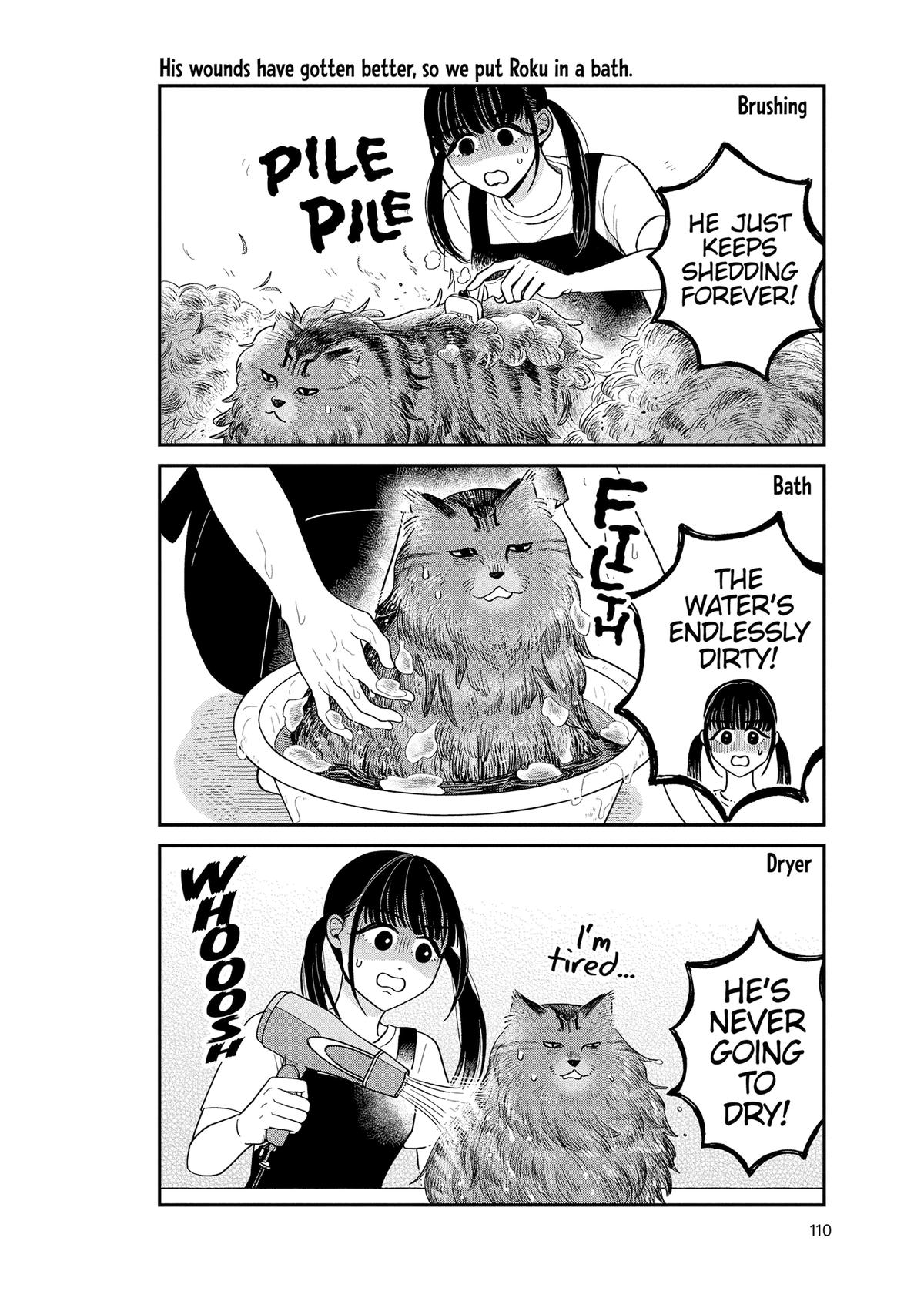 Cat Companions Maruru and Hachi Chapter 49 page 14 - 