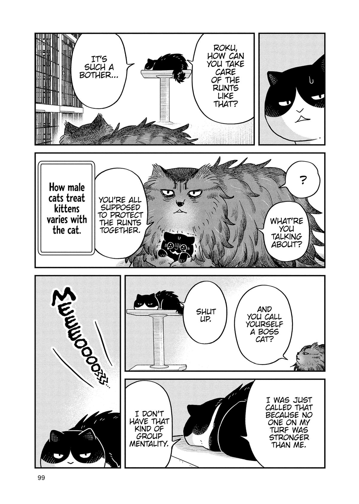 Cat Companions Maruru and Hachi Chapter 49 page 3 - 