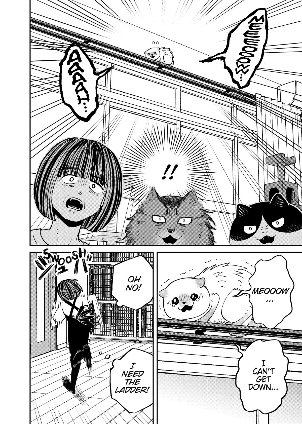 Cat Companions Maruru and Hachi Chapter 49 page 4 - 