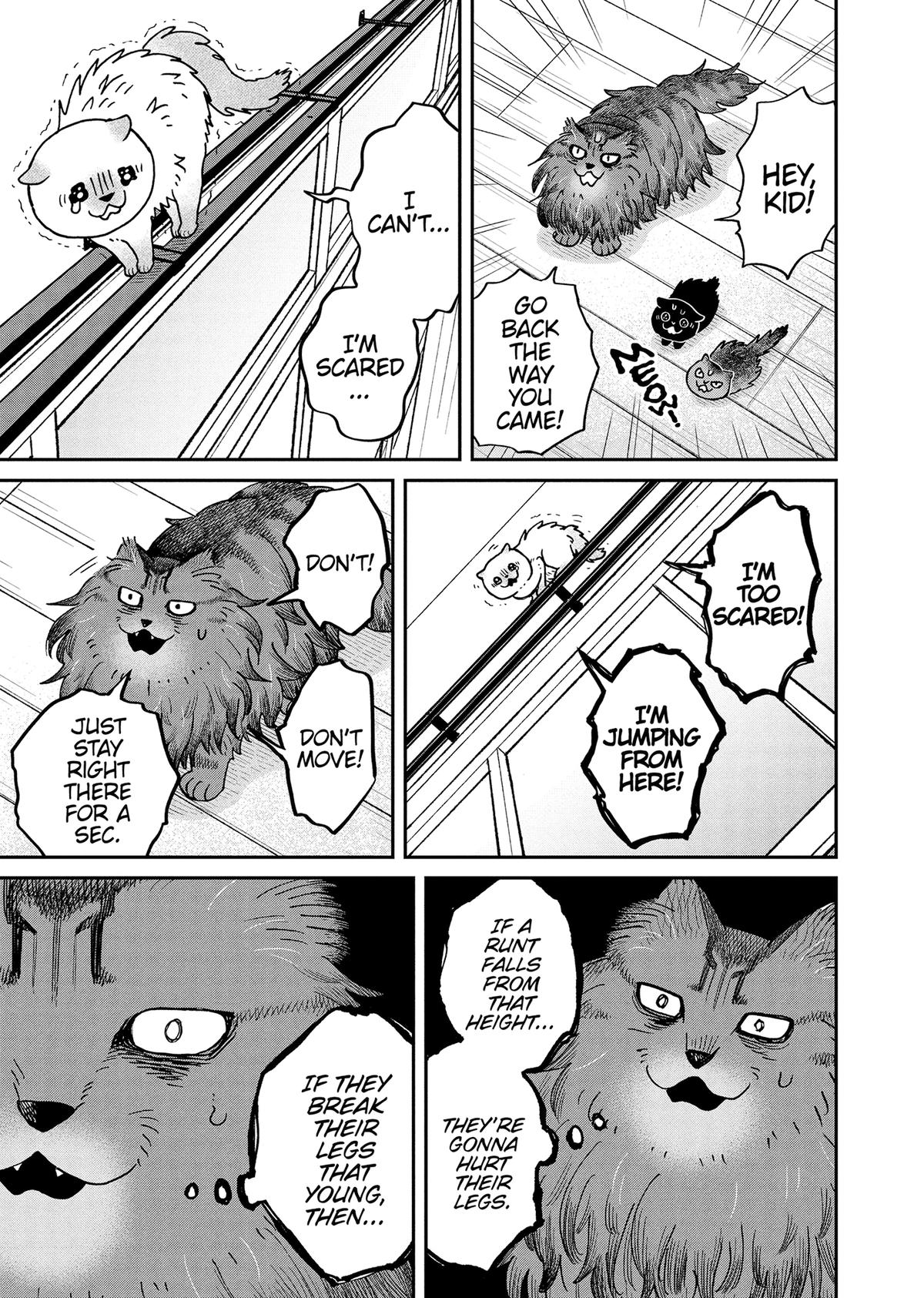 Cat Companions Maruru and Hachi Chapter 49 page 5 - 