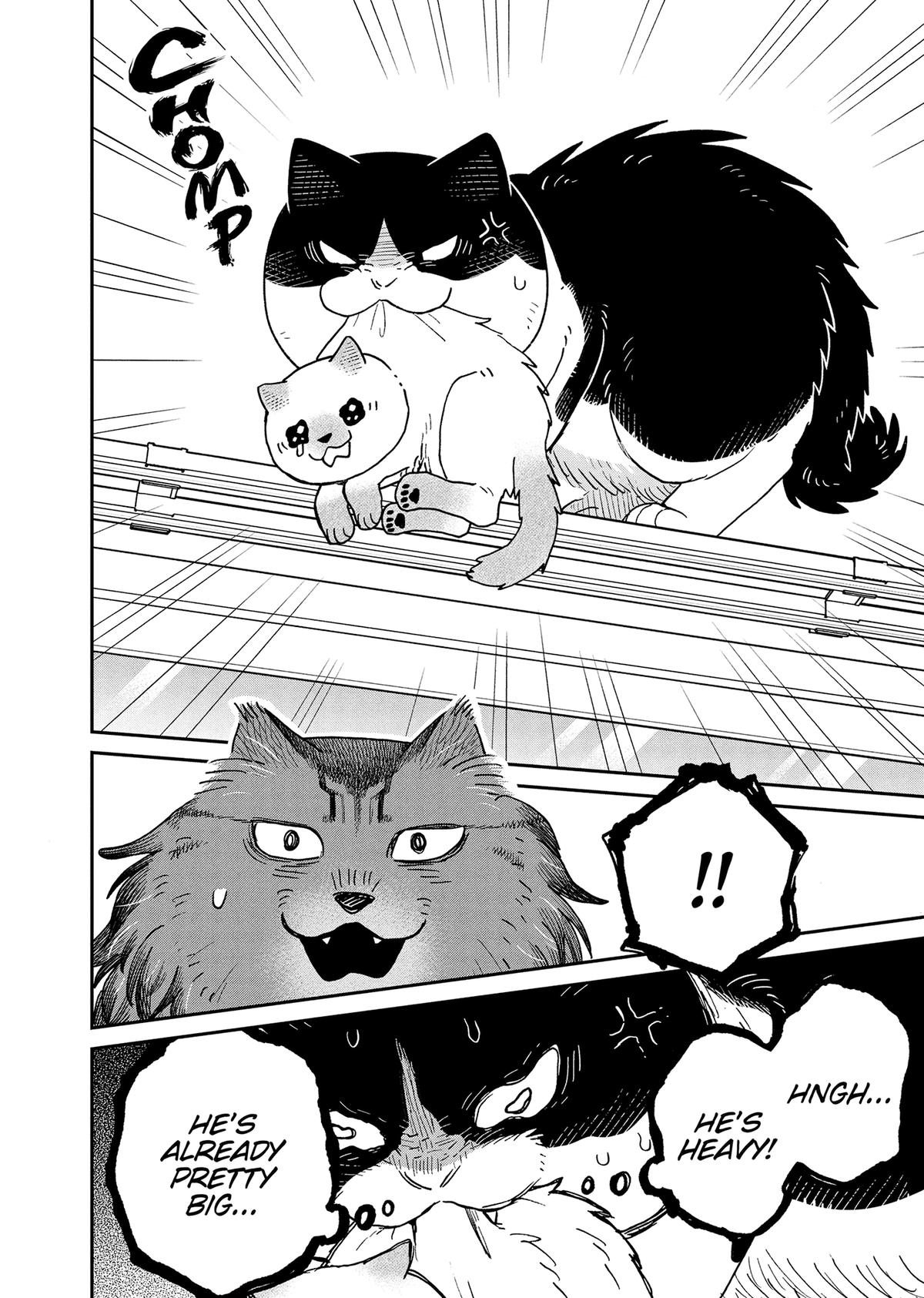 Cat Companions Maruru and Hachi Chapter 49 page 6 - 