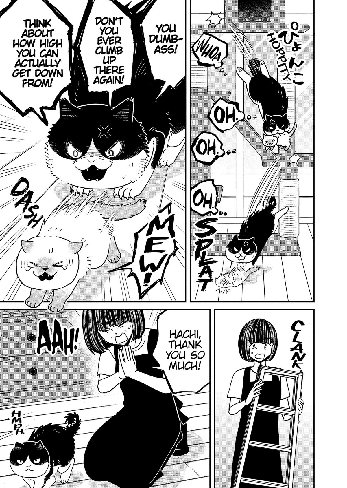Cat Companions Maruru and Hachi Chapter 49 page 7 - 