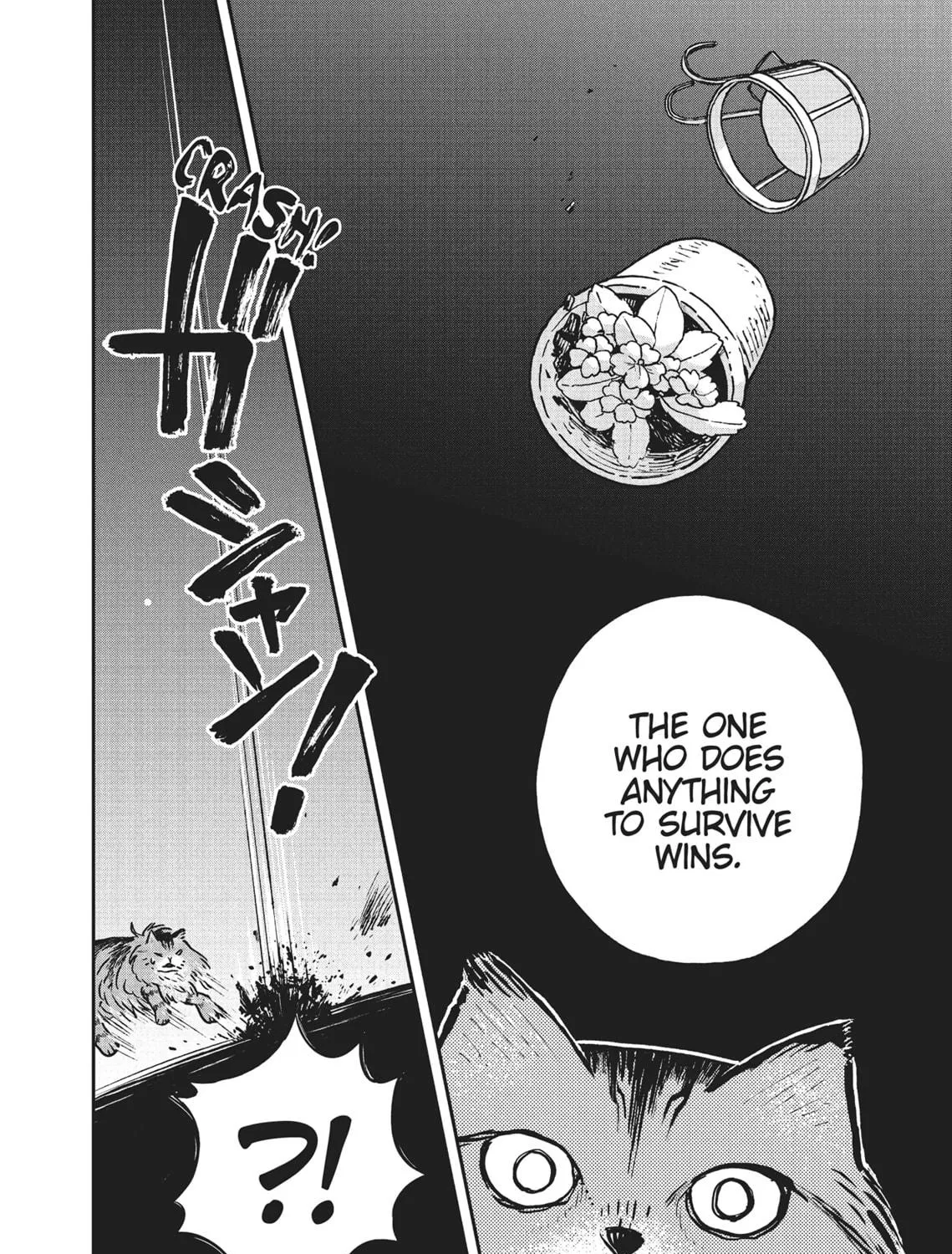 Cat Companions Maruru and Hachi Chapter 5 page 11 - 