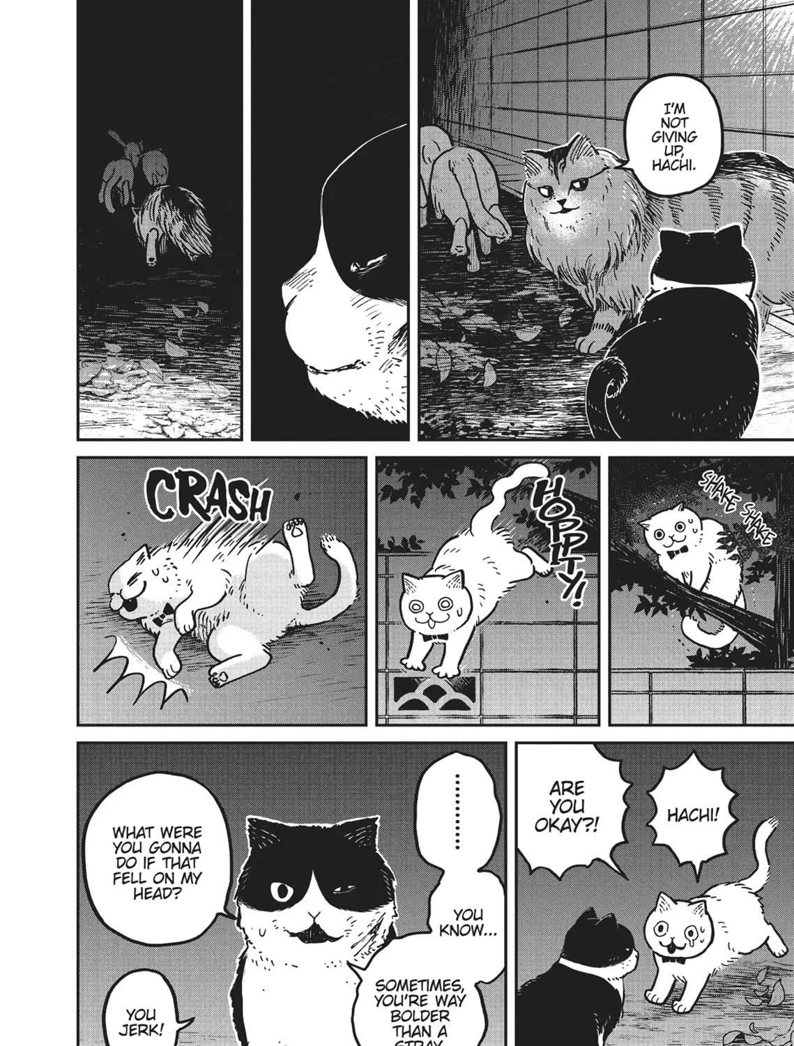 Cat Companions Maruru and Hachi Chapter 5 page 15 - 