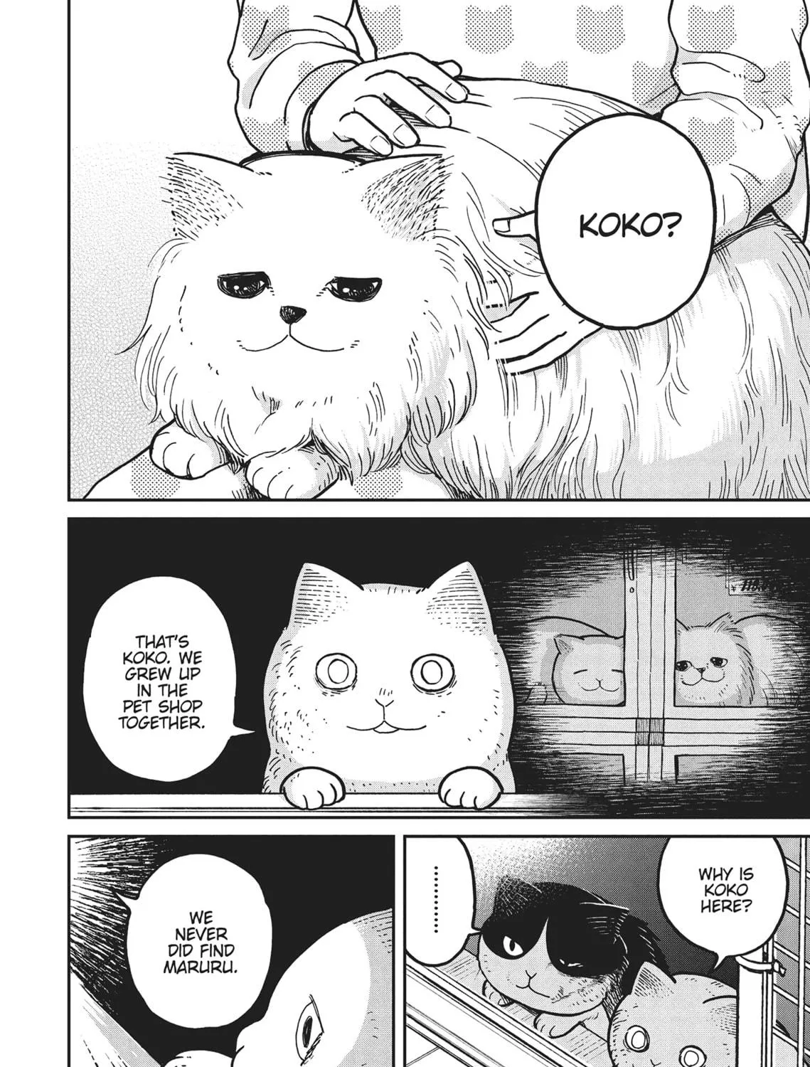 Cat Companions Maruru and Hachi Chapter 5 page 23 - 