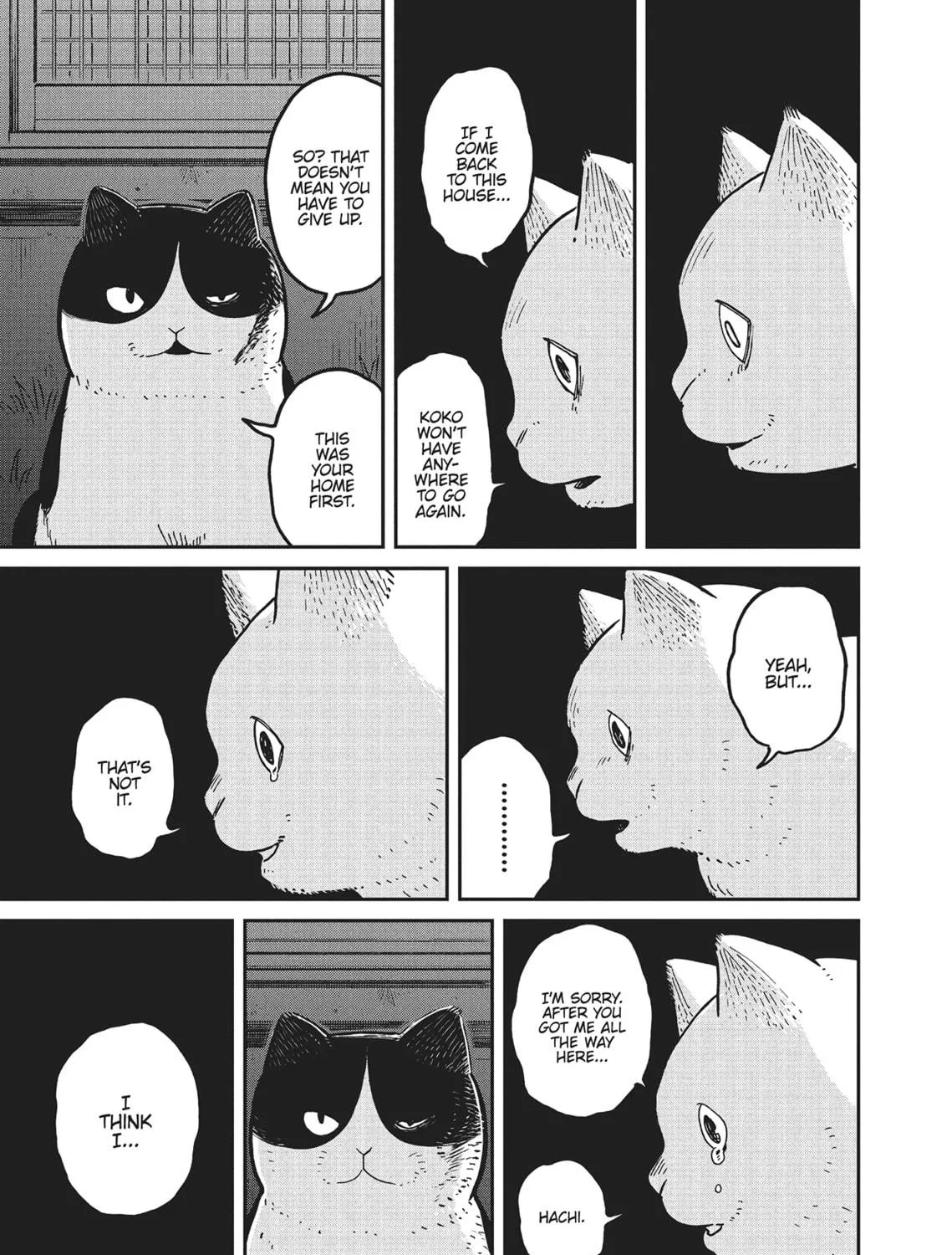 Cat Companions Maruru and Hachi Chapter 5 page 29 - 