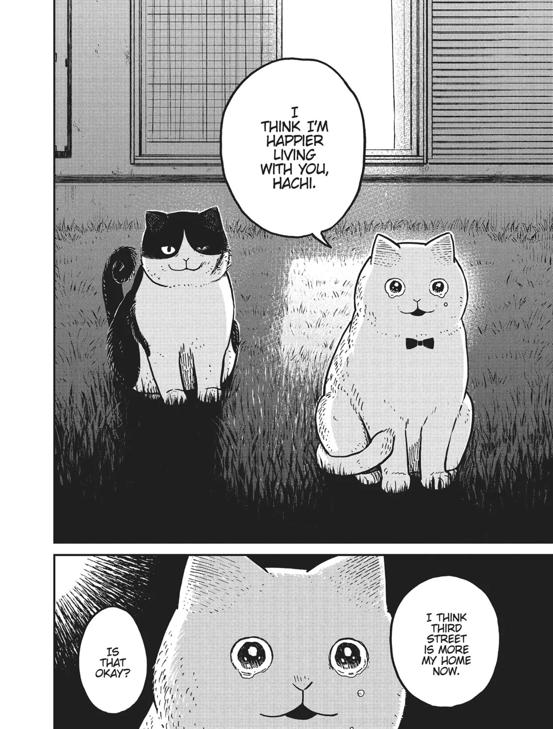 Cat Companions Maruru and Hachi Chapter 5 page 31 - 