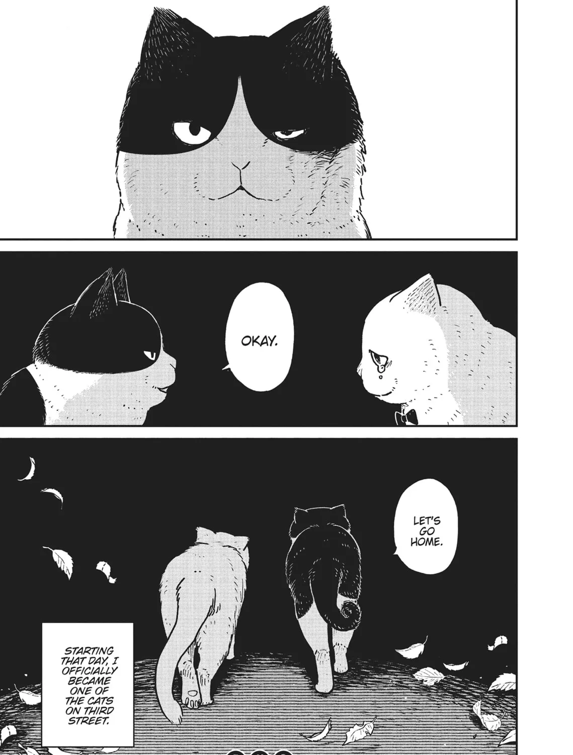 Cat Companions Maruru and Hachi Chapter 5 page 33 - 