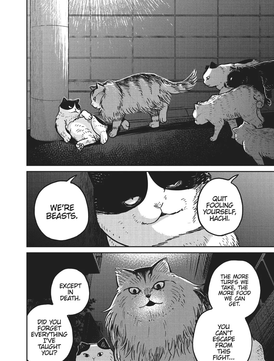Cat Companions Maruru and Hachi Chapter 5 page 7 - 