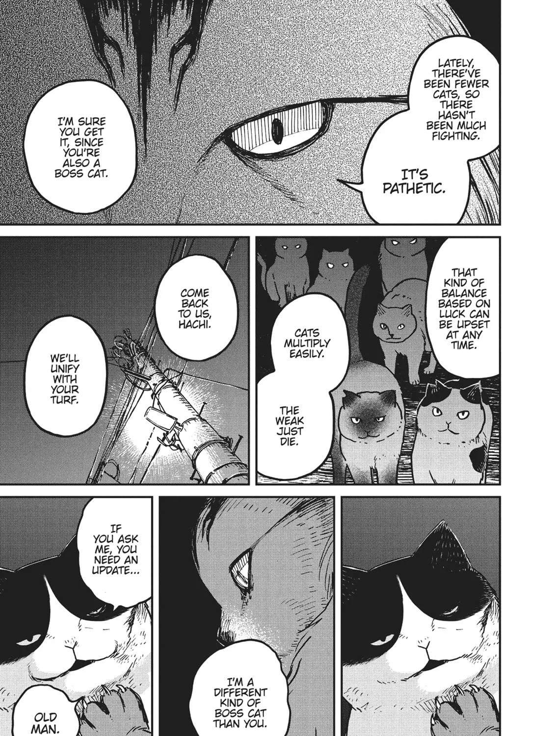 Cat Companions Maruru and Hachi Chapter 5 page 9 - 