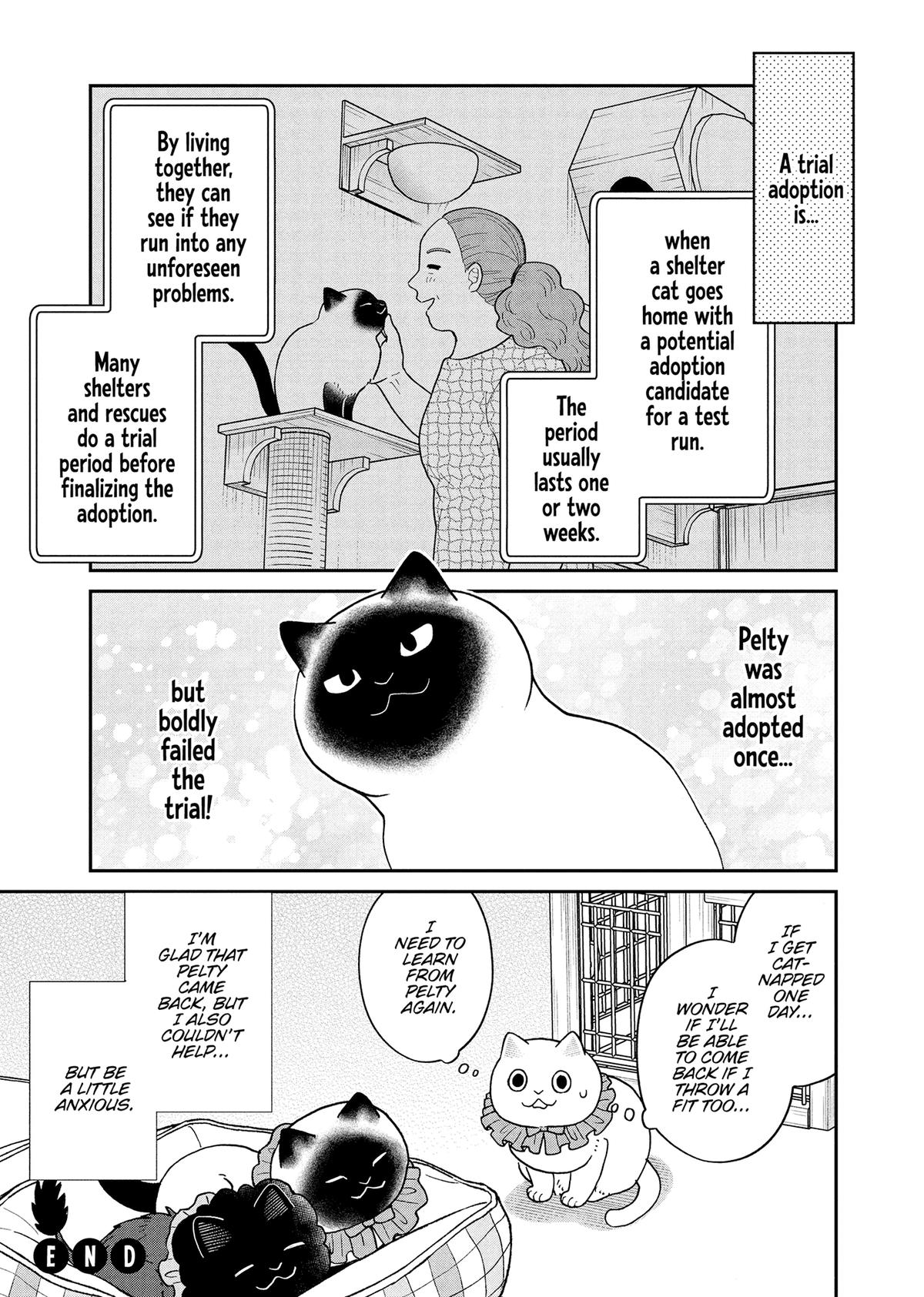 Cat Companions Maruru and Hachi Chapter 50 page 15 - 