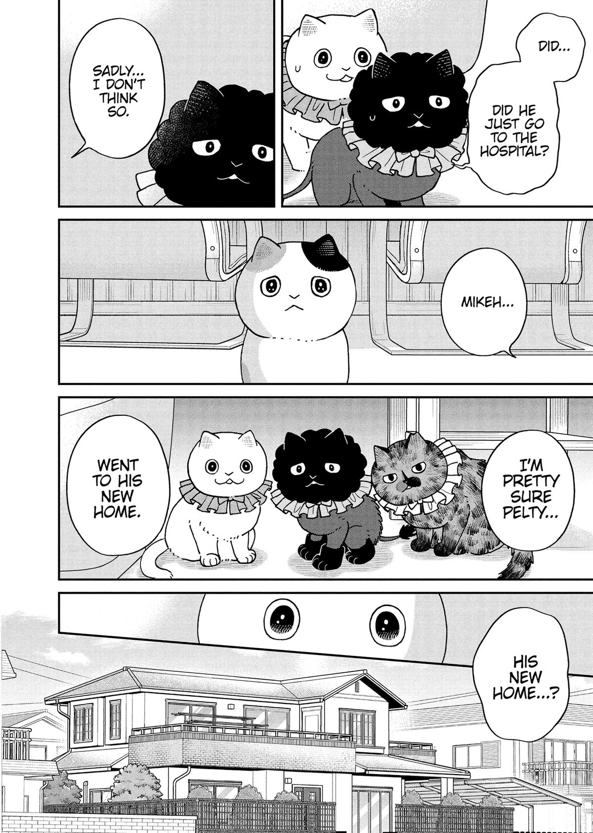 Cat Companions Maruru and Hachi Chapter 50 page 4 - 