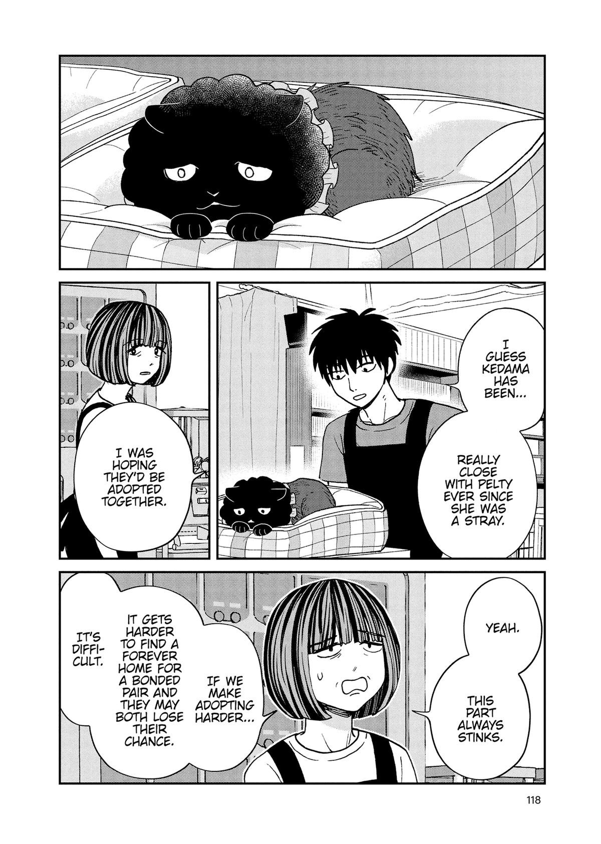 Cat Companions Maruru and Hachi Chapter 50 page 8 - 