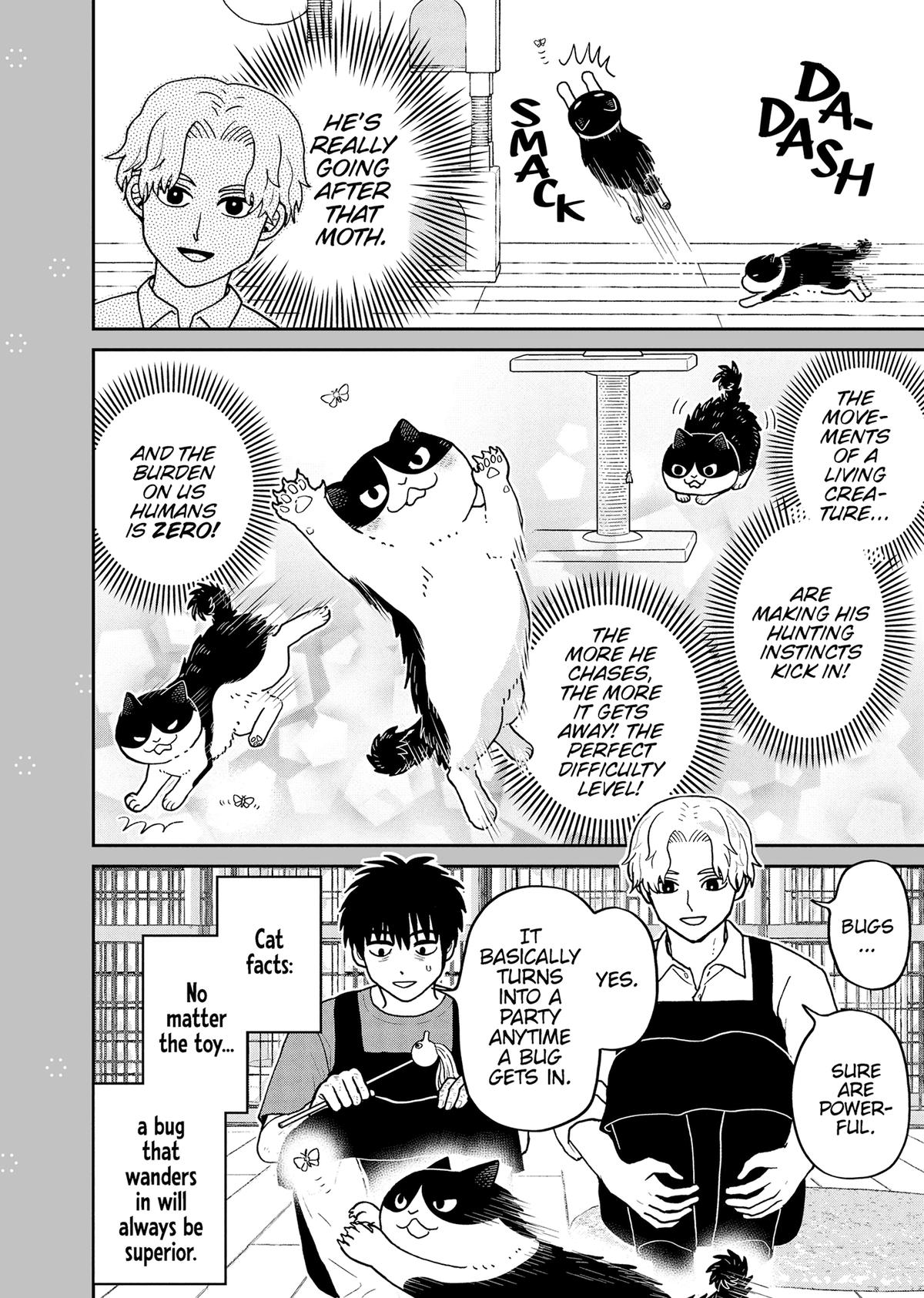 Cat Companions Maruru and Hachi Chapter 51 page 18 - 